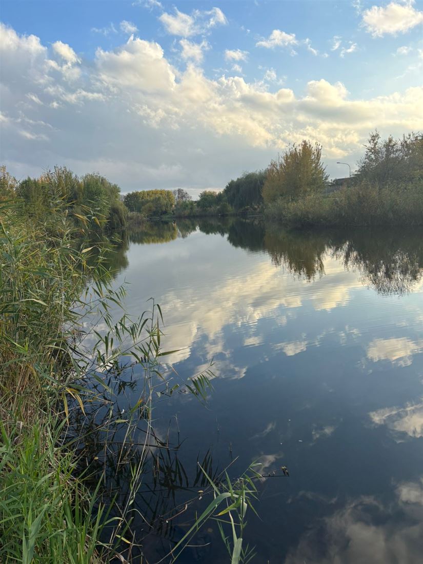 Купить  дом