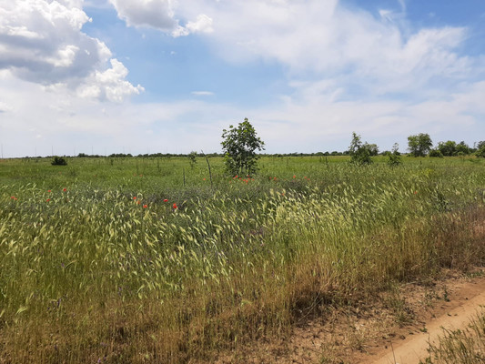 Купить  участок