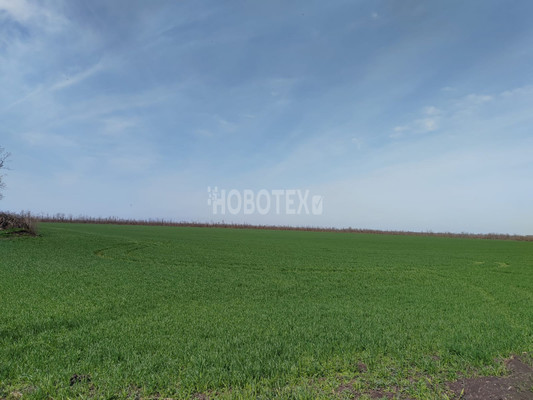 Купить  дом