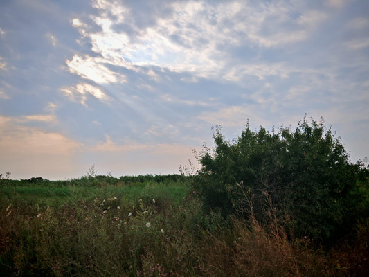 Купить  участок